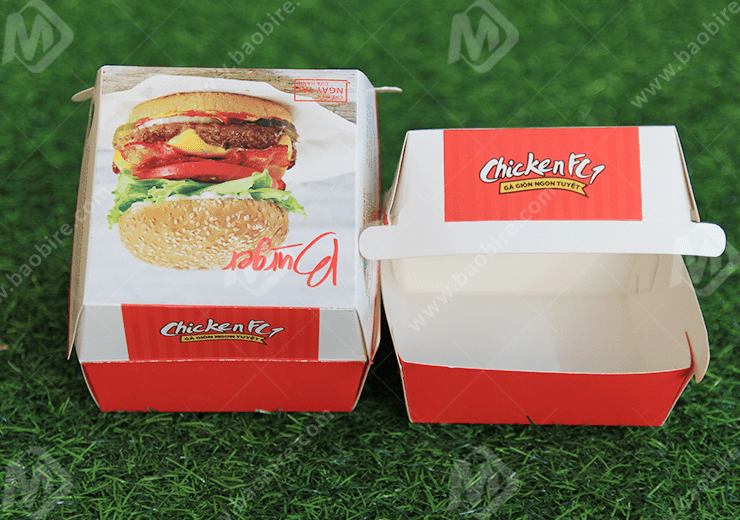 in hop dung burger 1