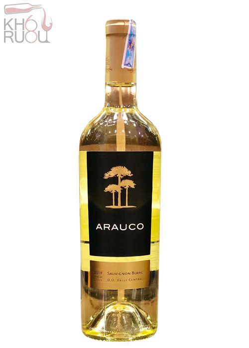 arauco sauvignon blanc 1