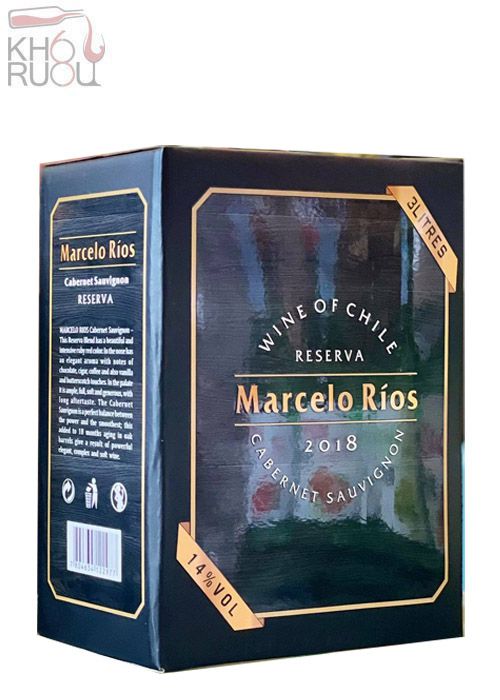 marcelo rios 1