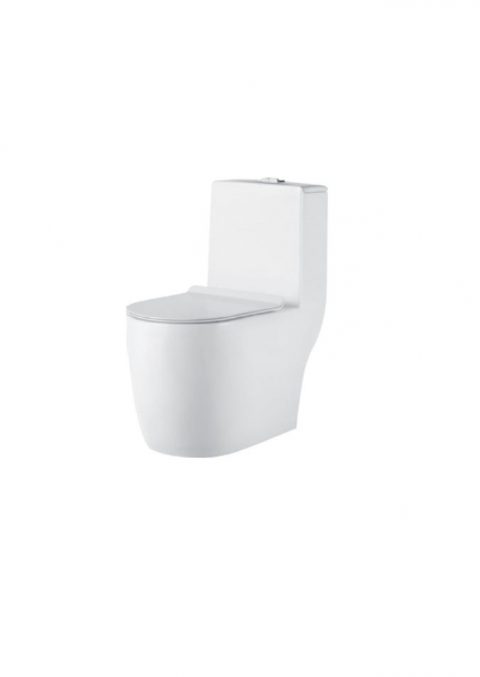 Bon cau toilet Bancoot lien khoi TS52 480x677 1