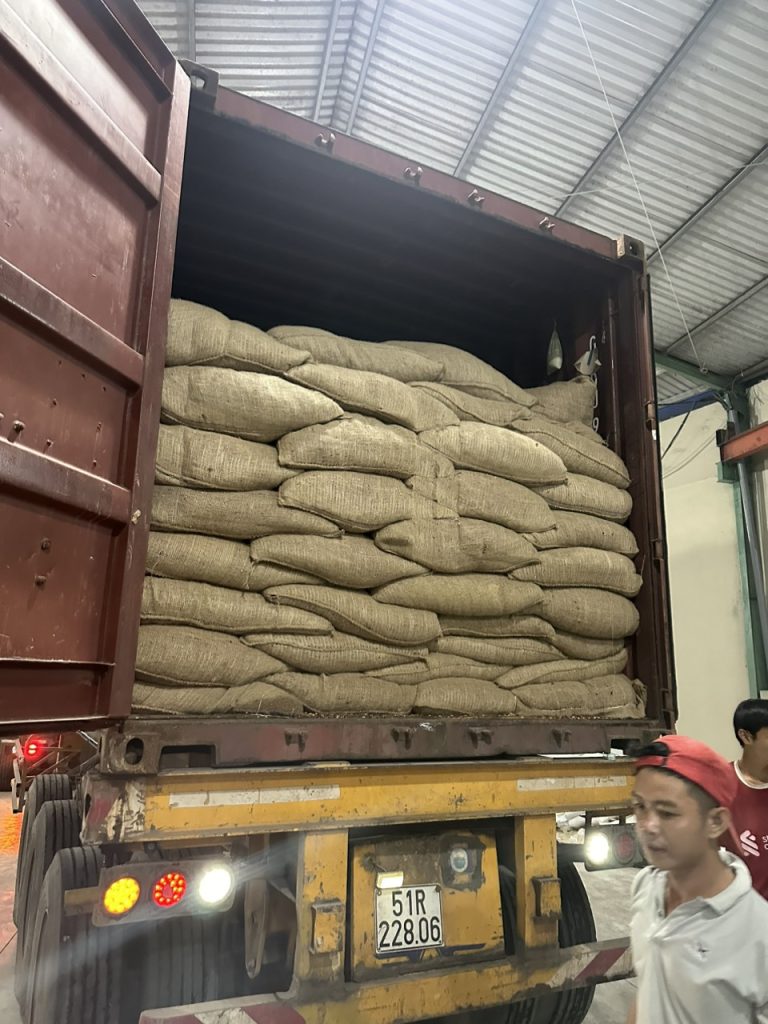 Dịch Vụ Bốc Xếp Container Tại Long An Uy Tín, Chuyên Nghiệp, Giá Rẻ